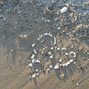 shadesofbluesea avatar