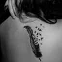 shadesofmaybe avatar