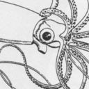 shadessagacious avatar