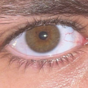 shadow-of-the-hidden-leaf avatar