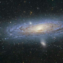 shadow-wolf01 avatar