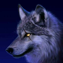 shadowangrywolf avatar