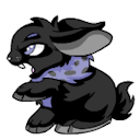 shadowcybunny avatar