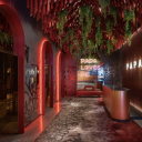 shadowfirebird avatar