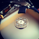 shadowfox8504 avatar