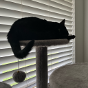 shadowgolden04 avatar