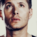 shadowhunters-in-town avatar