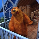 shadowofaliar avatar