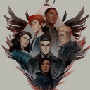 shadows-and-crows avatar