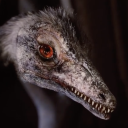 shadows-and-science-gone-mad avatar