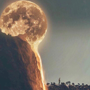 shadows-are-nice avatar