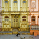 shadows-cant-kill-your-light avatar