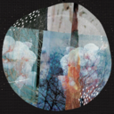 shadows-of-themoon avatar