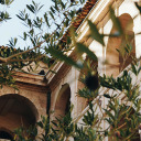 shadowscripted avatar