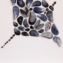 shadowshark1298 avatar