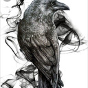 shadowsofsakura avatar