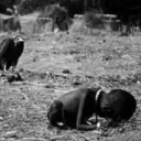 shadowsofthedyingsun avatar