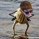 shadowstar3224-blog avatar