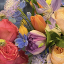 shadowsvisualplaylist avatar