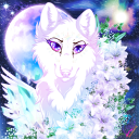 shadowwhitewolf avatar