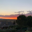 shadowwolfsworld avatar