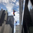 shadowwriter03 avatar