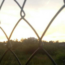 shadowyblossomthinker avatar