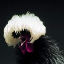 shadowyflowercowboy avatar