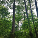 shadowygiverunknown avatar