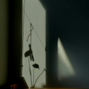 shadowymakershoeegg avatar