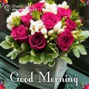 shadowypursecoloroaf avatar