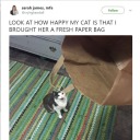 shadowyrunawaybasement avatar