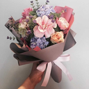 shadowysuitcaseponyghost-blog avatar