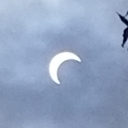 shadowytimetraveler avatar