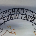 shady-brain-farm avatar