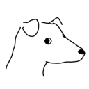 shadybelievercat avatar