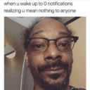 shadycheesecakemilkshake avatar