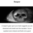 shadyfanflappatrol-blog avatar