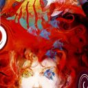 shadyfiredreamland avatar