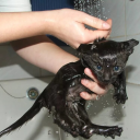 shadyglitterbeliever avatar