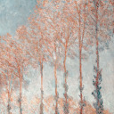 shadylightbearherring avatar