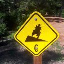 shadyquotesforhealthfitness avatar