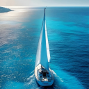 shadytidalwavekitten avatar