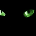 shadytreelucy-blog avatar