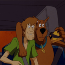 shaggy-rgrs avatar