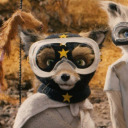 shaggybswaggy avatar