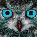 shaggydogstory avatar