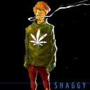 shaggyislit avatar