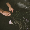 shahad-al-kalam avatar