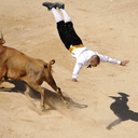 shahfaril-blog avatar